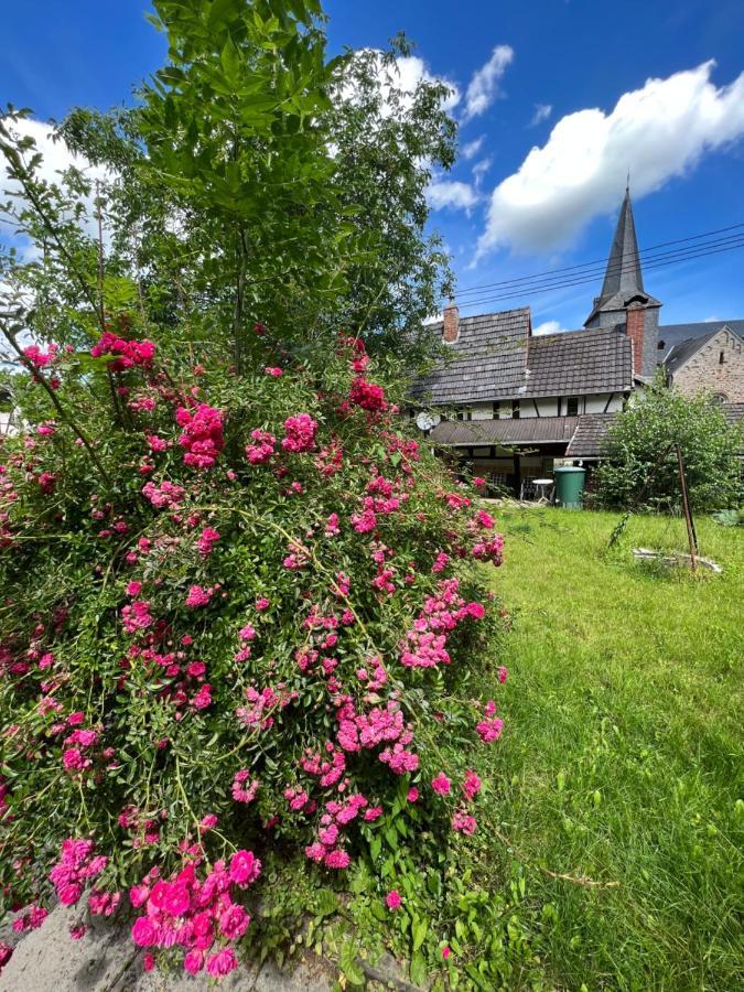 300 Jahre Altes Renoviertes Fachwerkhaus Villa Peterslahr Exterior photo